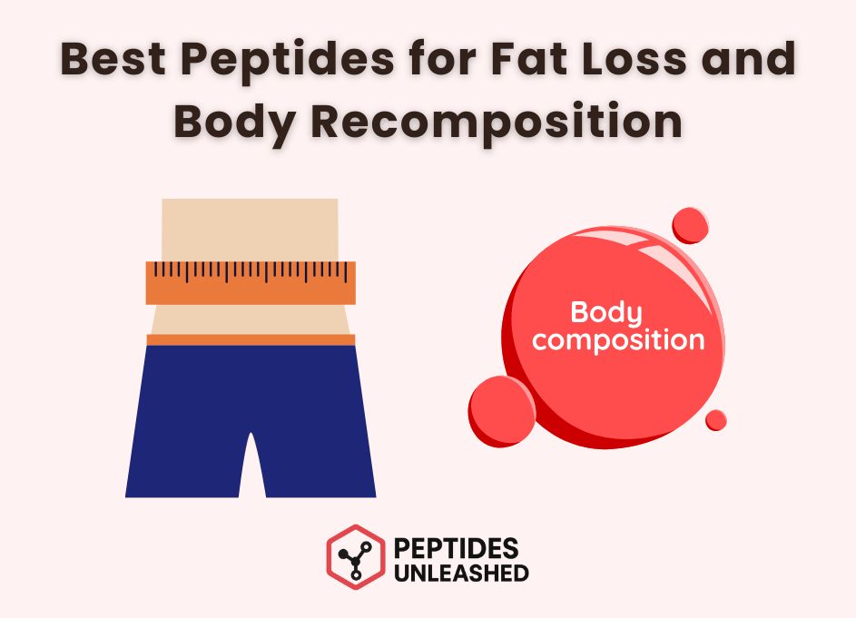 Which Peptide Is Best for Fat Loss and Body Recomposition